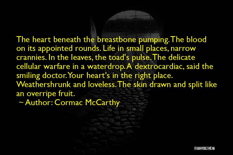 Cormac McCarthy Quotes 2015982