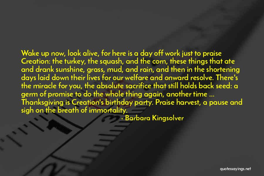 Corn Harvest Quotes By Barbara Kingsolver Corn Harvest Quotes By Barbara Kingsolver