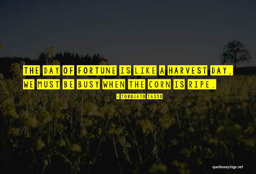 Corn Harvest Quotes By Torquato Tasso Corn Harvest Quotes By Torquato Tasso