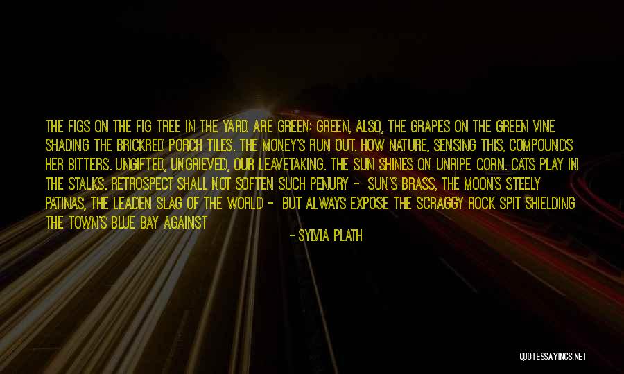 Corn Is Green Quotes By Sylvia Plath Corn Is Green Quotes By Sylvia Plath