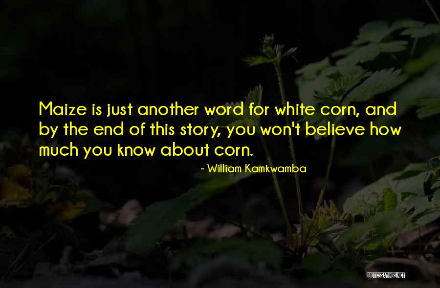 Corn Maize Quotes By William Kamkwamba Corn Maize Quotes By William Kamkwamba