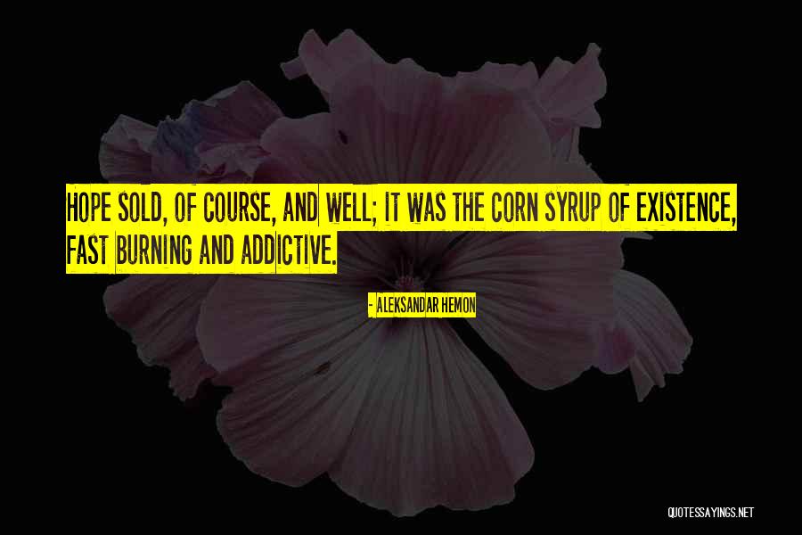 Corn Syrup Quotes By Aleksandar Hemon Corn Syrup Quotes By Aleksandar Hemon