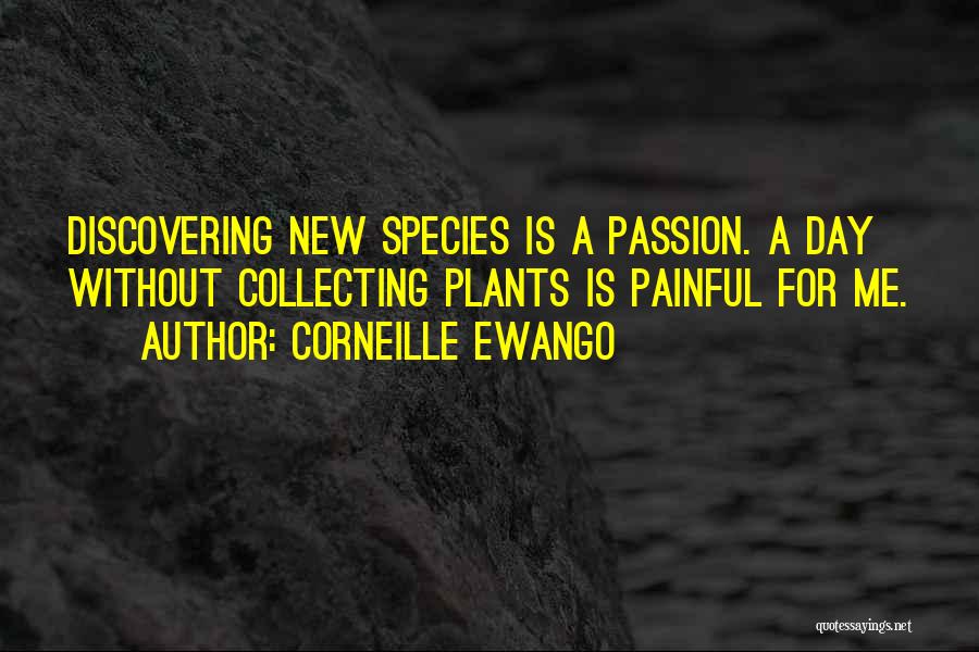 Corneille Ewango Quotes 760683