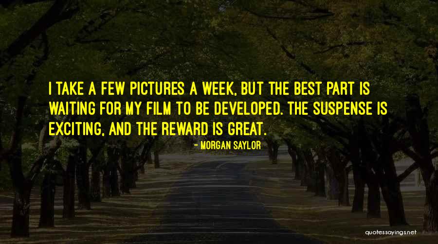 Corneille Oiseau Quotes By Morgan Saylor Corneille Oiseau Quotes By Morgan Saylor