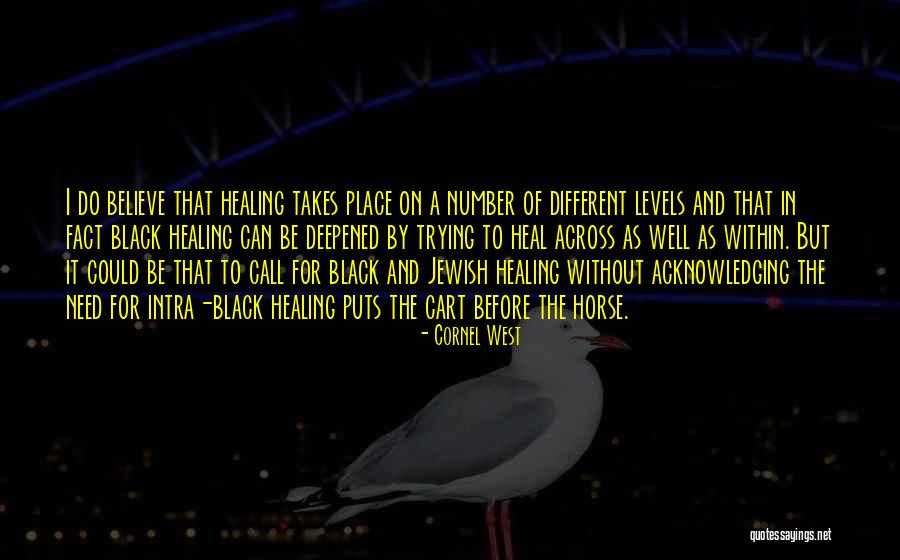 Cornel West Quotes 1251094