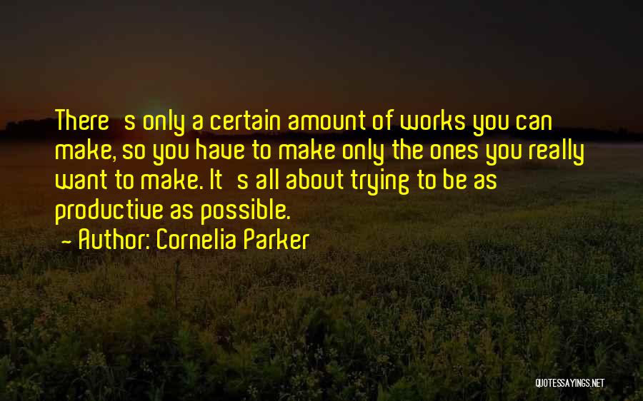 Cornelia Parker Quotes 656108