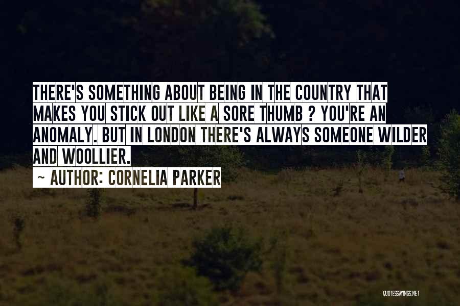 Cornelia Parker Quotes 704383