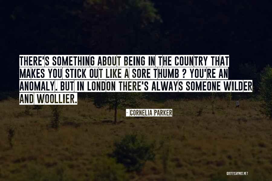 Cornelia Parker Quotes 704383 Cornelia Parker Quotes 704383