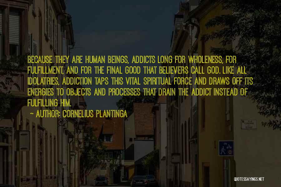 Cornelius Plantinga Quotes 1181243