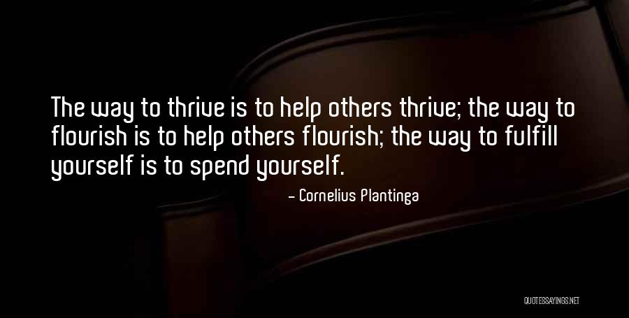 Cornelius Plantinga Quotes 929424