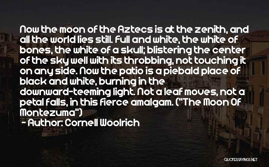 Cornell Woolrich Quotes 1286605