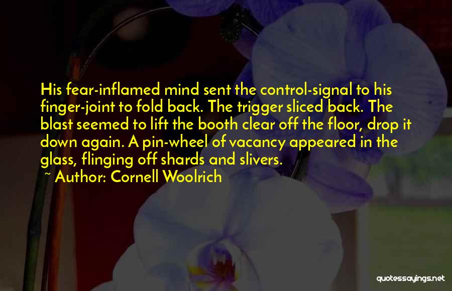 Cornell Woolrich Quotes 1876906