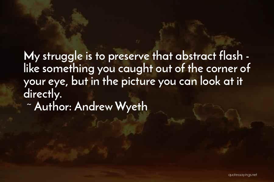 Corner Of My Eye Quotes By Andrew Wyeth