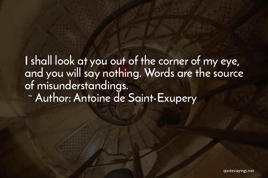 Corner Of My Eye Quotes By Antoine De Saint-Exupery