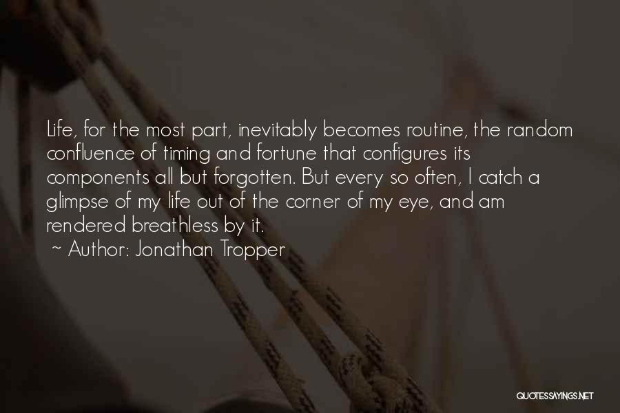 Corner Of My Eye Quotes By Jonathan Tropper