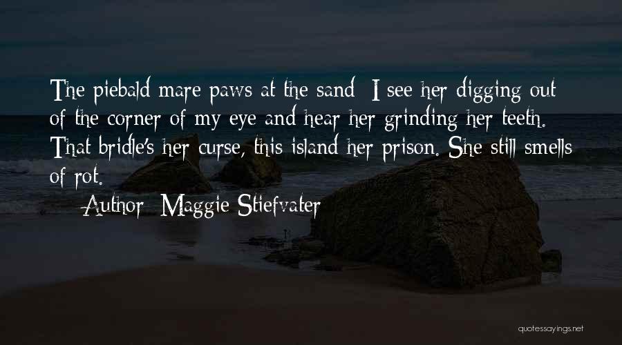 Corner Of My Eye Quotes By Maggie Stiefvater