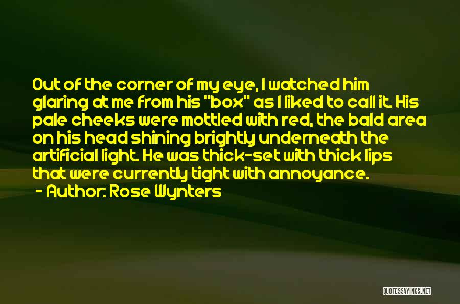 Corner Of My Eye Quotes By Rose Wynters