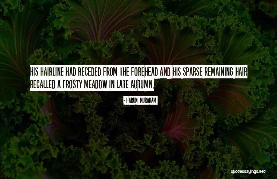 Cornered Cat Quotes By Haruki Murakami Cornered Cat Quotes By Haruki Murakami