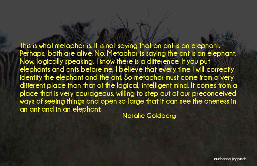 Cornered Cat Quotes By Natalie Goldberg Cornered Cat Quotes By Natalie Goldberg