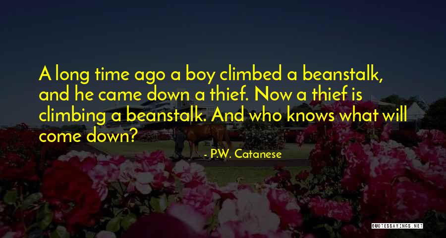 Cornets Nasaux Quotes By P.W. Catanese Cornets Nasaux Quotes By P.W. Catanese