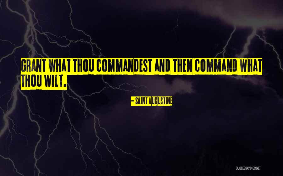 Cornflower Minecraft Quotes By Saint Augustine Cornflower Minecraft Quotes By Saint Augustine