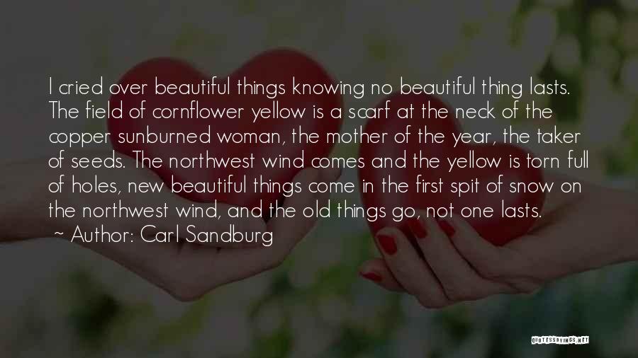 Cornflower Quotes By Carl Sandburg