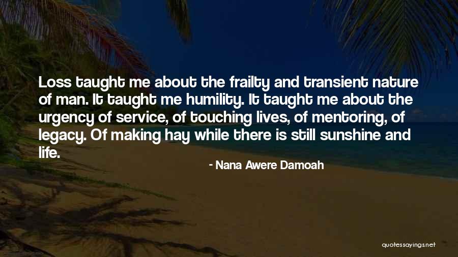 Cornford Plato Quotes By Nana Awere Damoah