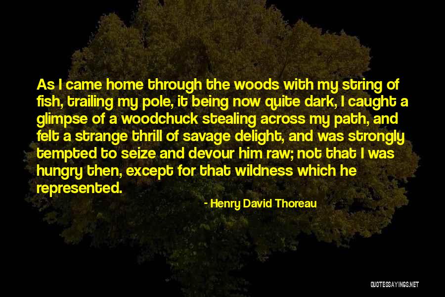 Cornholed On The Farm Quotes By Henry David Thoreau Cornholed On The Farm Quotes By Henry David Thoreau