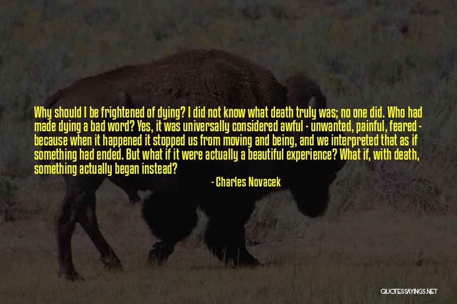 Cornishman Train Quotes By Charles Novacek Cornishman Train Quotes By Charles Novacek