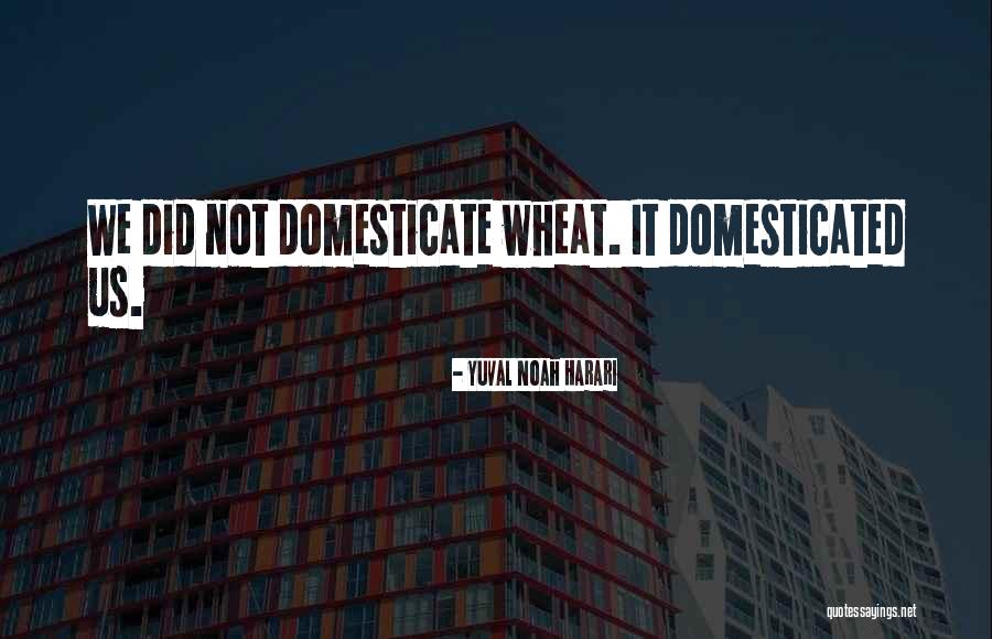 Cornubia Durban Quotes By Yuval Noah Harari Cornubia Durban Quotes By Yuval Noah Harari