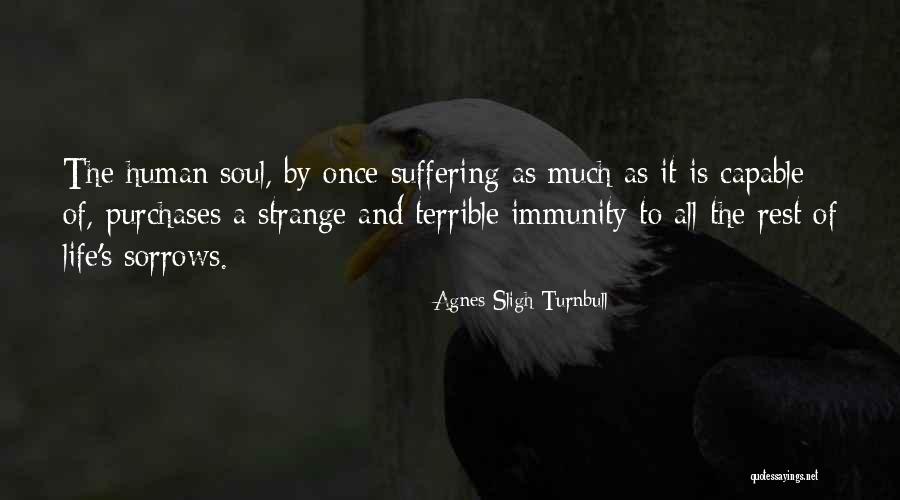 Coroas Png Quotes By Agnes Sligh Turnbull Coroas Png Quotes By Agnes Sligh Turnbull