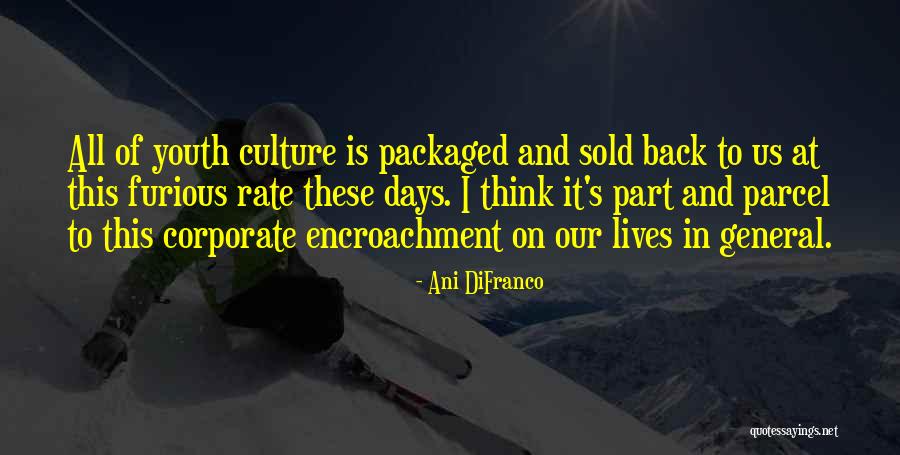 Corporate Culture Quotes By Ani DiFranco