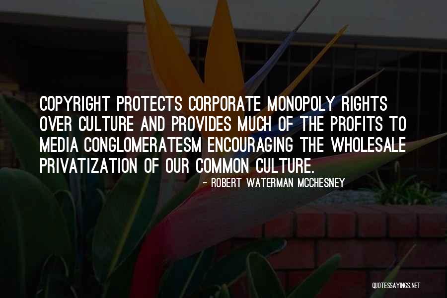 Corporate Culture Quotes By Robert Waterman McChesney