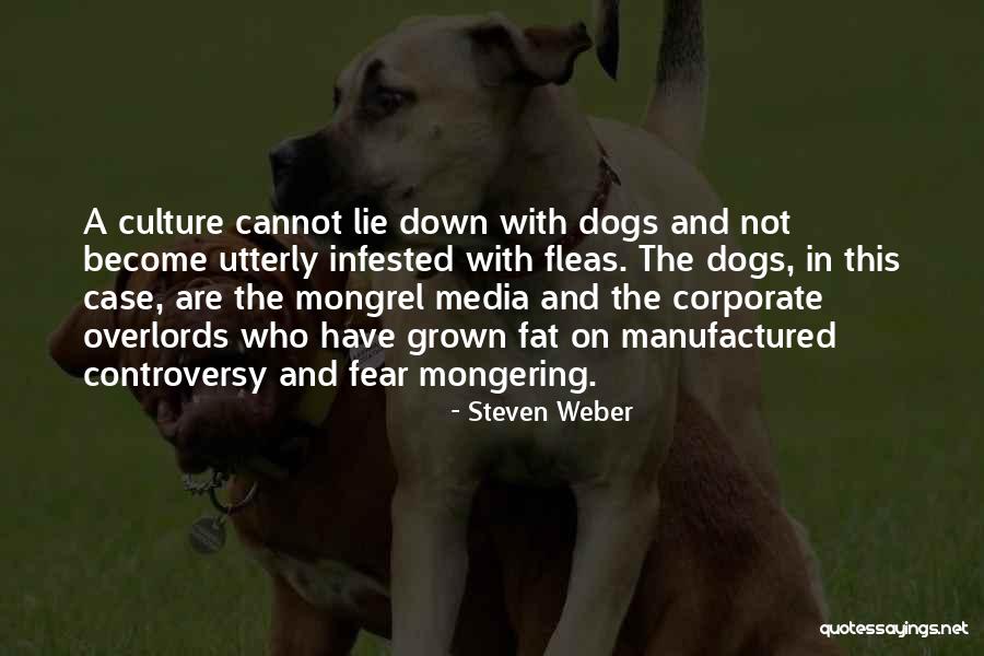 Corporate Culture Quotes By Steven Weber