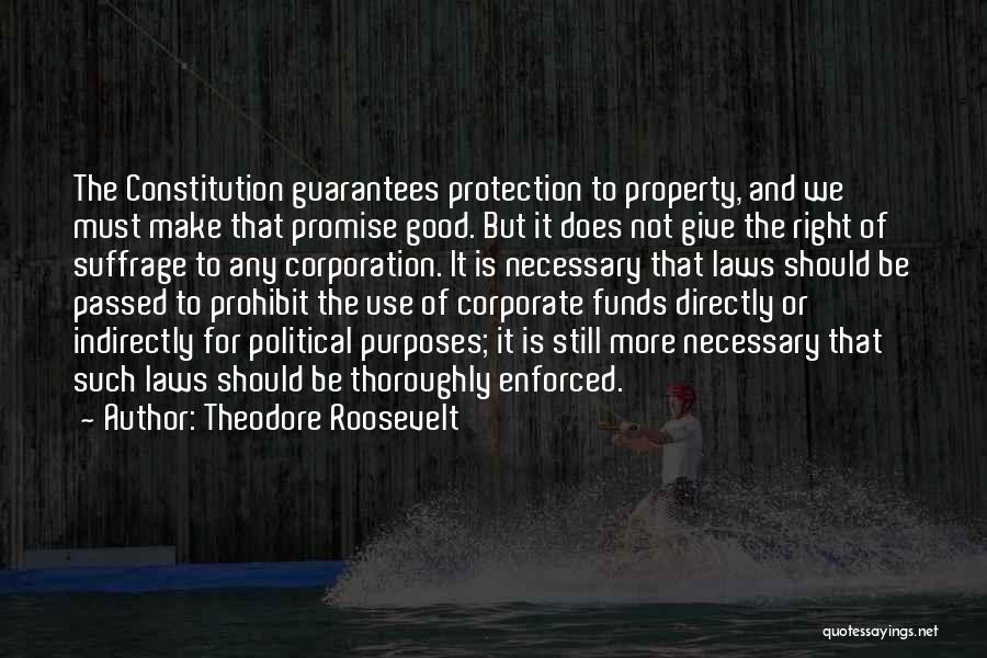 Corporate Law Quotes By Theodore Roosevelt