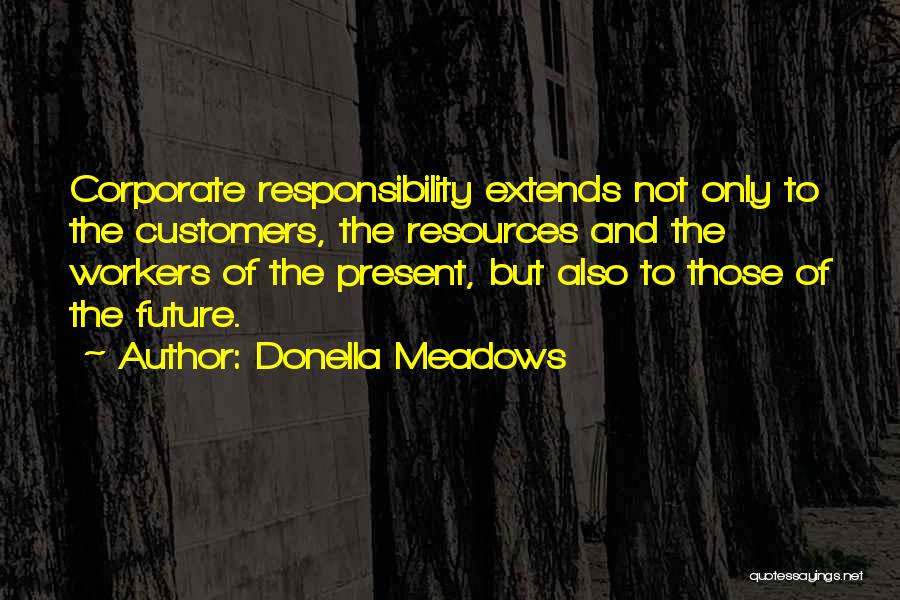 Corporate Responsibility Quotes By Donella Meadows