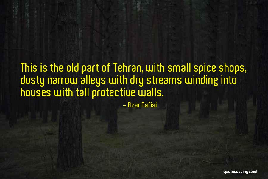 Corporeal In A Sentence Quotes By Azar Nafisi Corporeal In A Sentence Quotes By Azar Nafisi