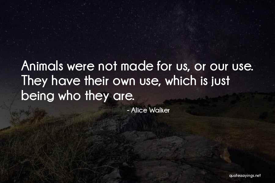 Corrados Clifton Quotes By Alice Walker Corrados Clifton Quotes By Alice Walker