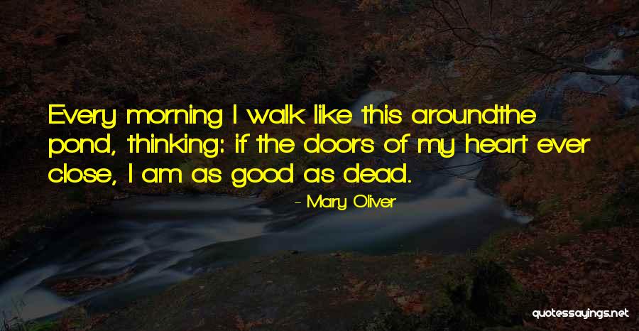 Correa Cotto Quotes By Mary Oliver Correa Cotto Quotes By Mary Oliver