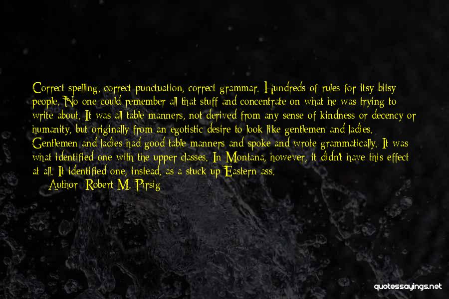 Correct Grammar Quotes By Robert M. Pirsig