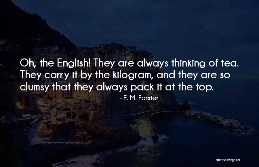 Correct Punctuation For Citing Quotes By E. M. Forster Correct Punctuation For Citing Quotes By E. M. Forster