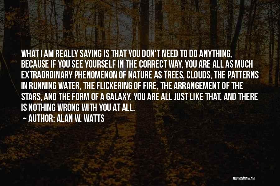 Correct Yourself Quotes By Alan W. Watts