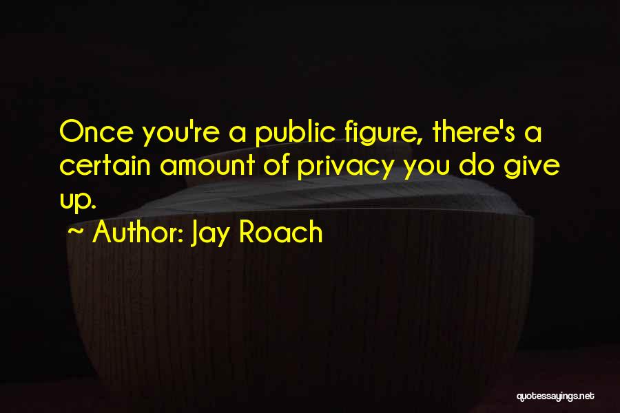 Correctamundo Pulp Fiction Quotes By Jay Roach