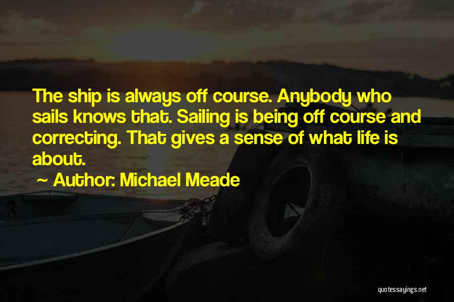 Correcting Others Quotes By Michael Meade