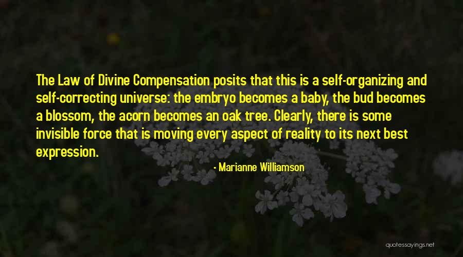 Correcting Someone Quotes By Marianne Williamson