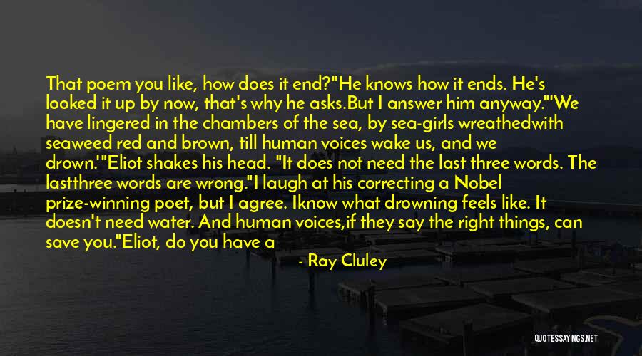 Correcting Someone Quotes By Ray Cluley