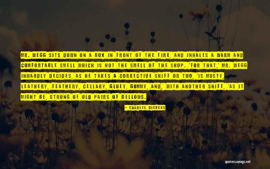 Corrective Quotes By Charles Dickens Corrective Quotes By Charles Dickens