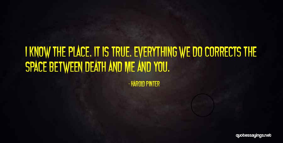 Corrects Quotes By Harold Pinter Corrects Quotes By Harold Pinter