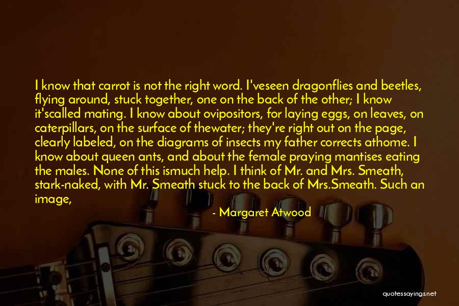 Corrects Quotes By Margaret Atwood Corrects Quotes By Margaret Atwood