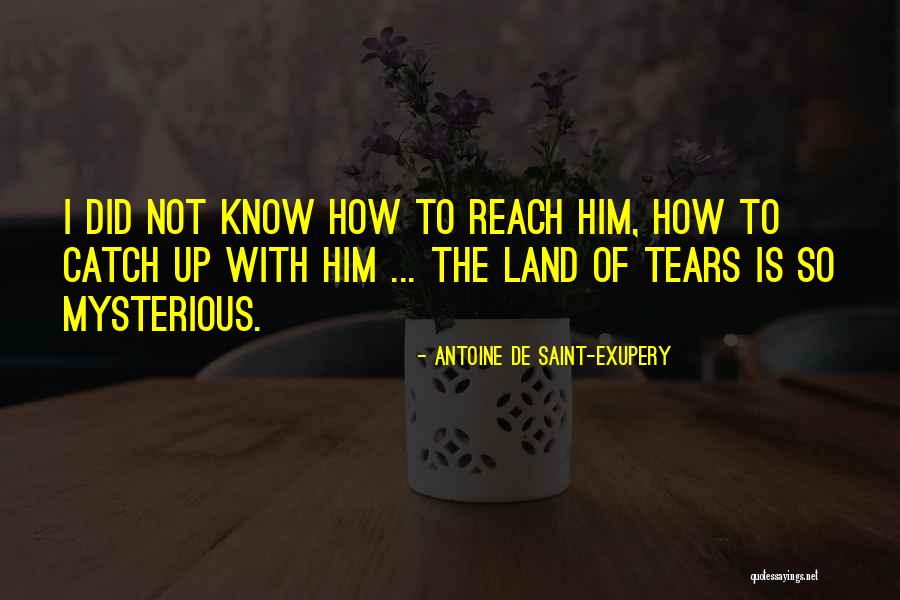 Correlacion Y Quotes By Antoine De Saint-Exupery Correlacion Y Quotes By Antoine De Saint-Exupery